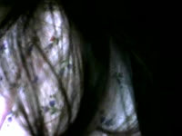 Jeune femme célibataire. charmante, irrésistible, coquine