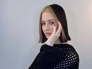 webcam live KitKimmons